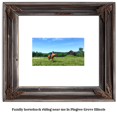 family horseback riding near me in Pingree Grove, Illinois